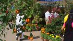 Flower Show 2011 (pic-60) 