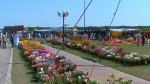 Flower Show 2011 (pic-85)