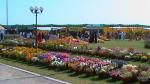 Flower Show 2011 (pic-106)