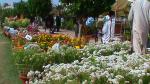 Flower Show 2011 (pic-108)