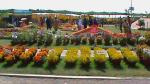 Flower Show 2011 (pic-109)