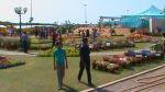 Flower Show 2011 (pic-112)