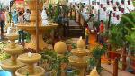 Flower Show 2011 (pic-116)