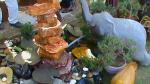 Flower Show 2011 (pic-126)