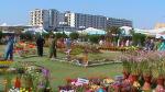 Flower Show 2011 (pic-129)