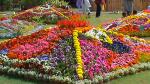 Flower Show 2011 (pic-170)