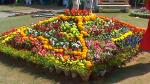 Flower Show 2011 (pic-175)