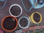 Buckets of my first homemade compost