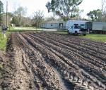 veggie garden