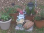 Herbs, tomato and a gnome!