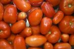Tomatoes 1
