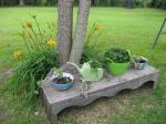 Daylilies behind bench