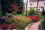 shade garden looking toward house