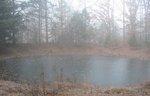 An autumn shot of my pond in the woods