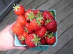 Honeoye strawberries