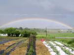 rainbow 5/26/11 