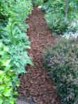 bark on the cardboard paths front yard weeding project