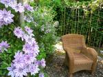 clematis and french lilac in the vegie?? garden