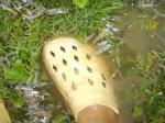 water still almost over my shoe after it quit raining