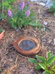 coconut butterfly puddle