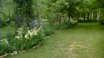 rebar arbor and irises 