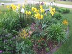 Front yard flower bed...