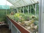 Alpine House