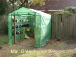 Mini Greenhouse