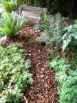 New path through woodland bed in backyard