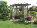 Bird feeding Pergola...