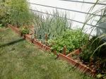 Herb Garden