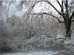 more damages from ice storm 2006