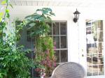 Volunteer Datura growing in petunia basket. Should bloom today or tomorrow.