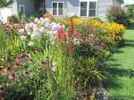 Front yard flower bed...