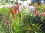 Front yard flower bed...