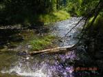 The Neshota river behind our house.