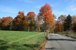 Fall in Vermont