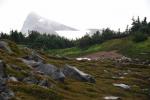 Mt. Rainier foggy view