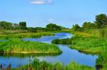 Meandering Florida Canal