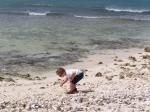 Grandson looking for shells