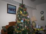 My Tree