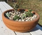 Succulent Bowl