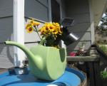 watering can-spotlight holder