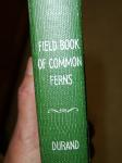 fern book 1928