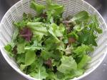 Gourmet Leaf Lettuce