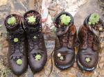old wornout work boots