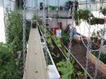 Our Greenhouse