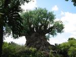 Tree of Life at Animal Kingdom, Disneyland, Fla.