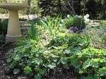 Bird bath garden just stirring