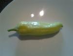 Our first veggie, Banana Pepper